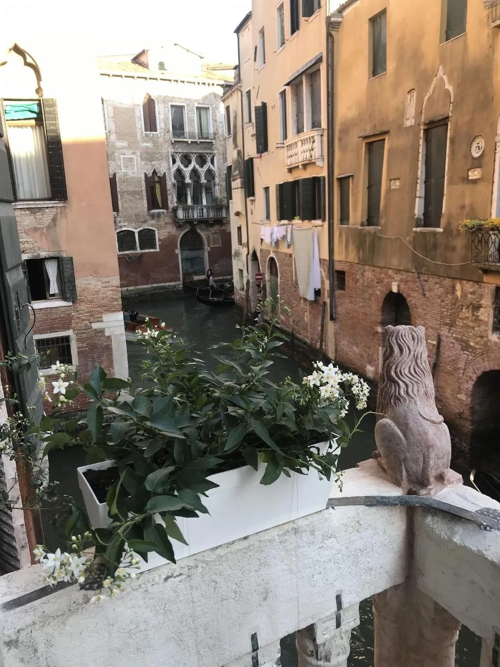 Terrace, Ca Amadi, Venice