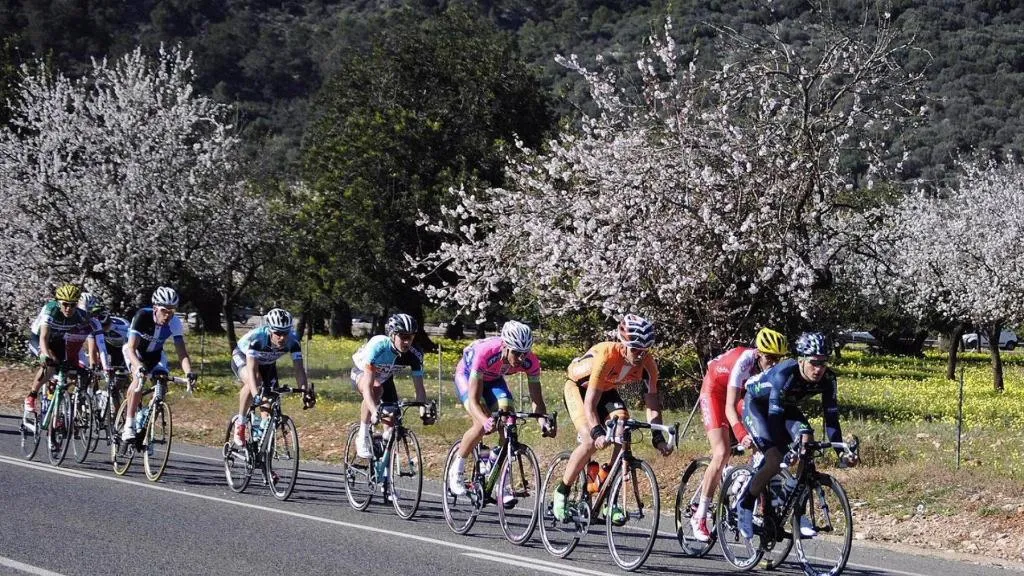 Sports and Entertainment, Oleander, Majorca