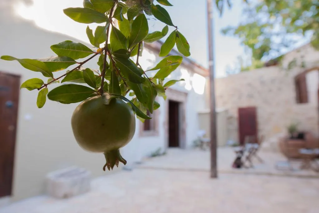 General view, Oinoessa Traditional Boutique Houses, Cyprus
