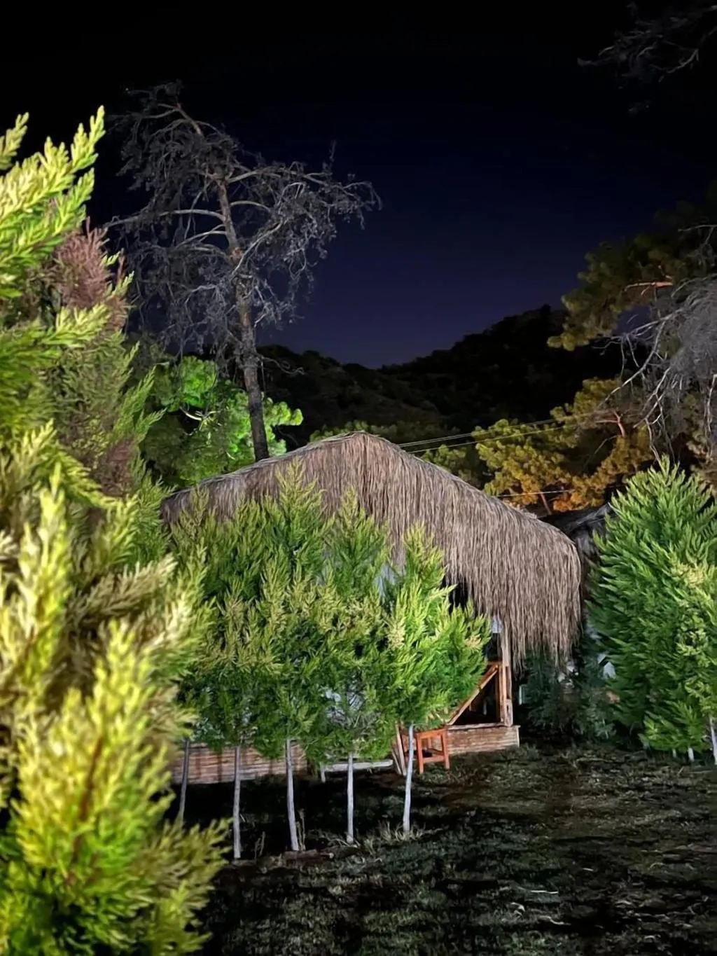 General view, Green Pine Beach & Bungalows Luxury Concept, Dalaman