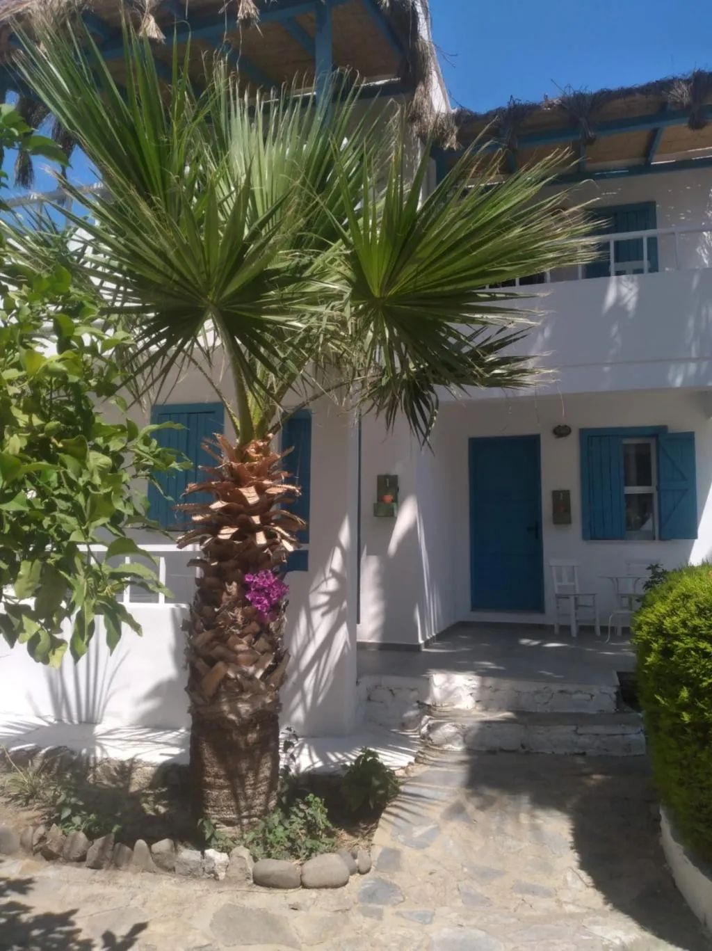 General view, Misket Hotel Bodrum, Bodrum