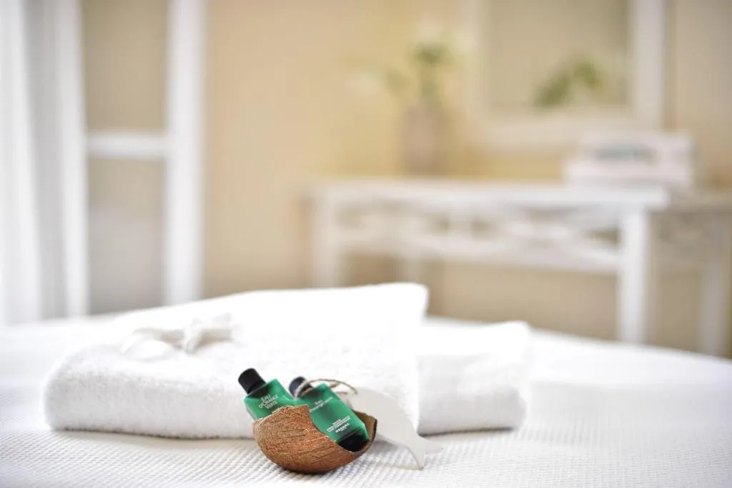 Double or Twin WITH TERRACE Room, Erato, Mykonos