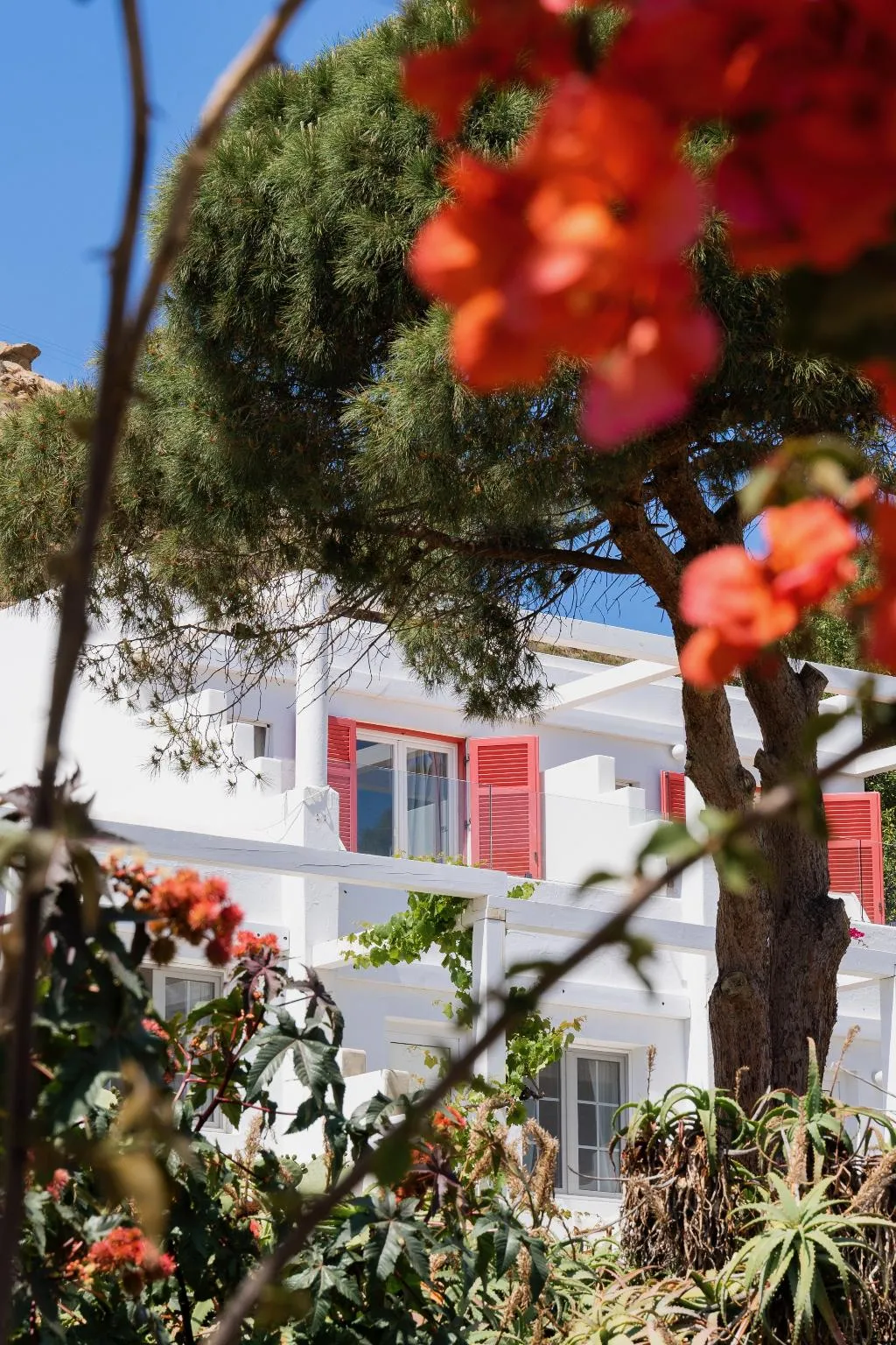 General view, Rhenia  Mykonos Hotel & Bungalows, Mykonos