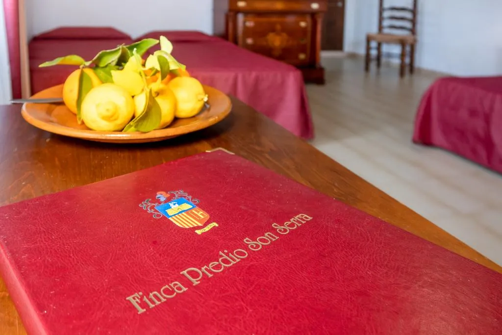 Double or Twin WITH TERRACE Room, Hotel Rural Predio Son Serra, Majorca