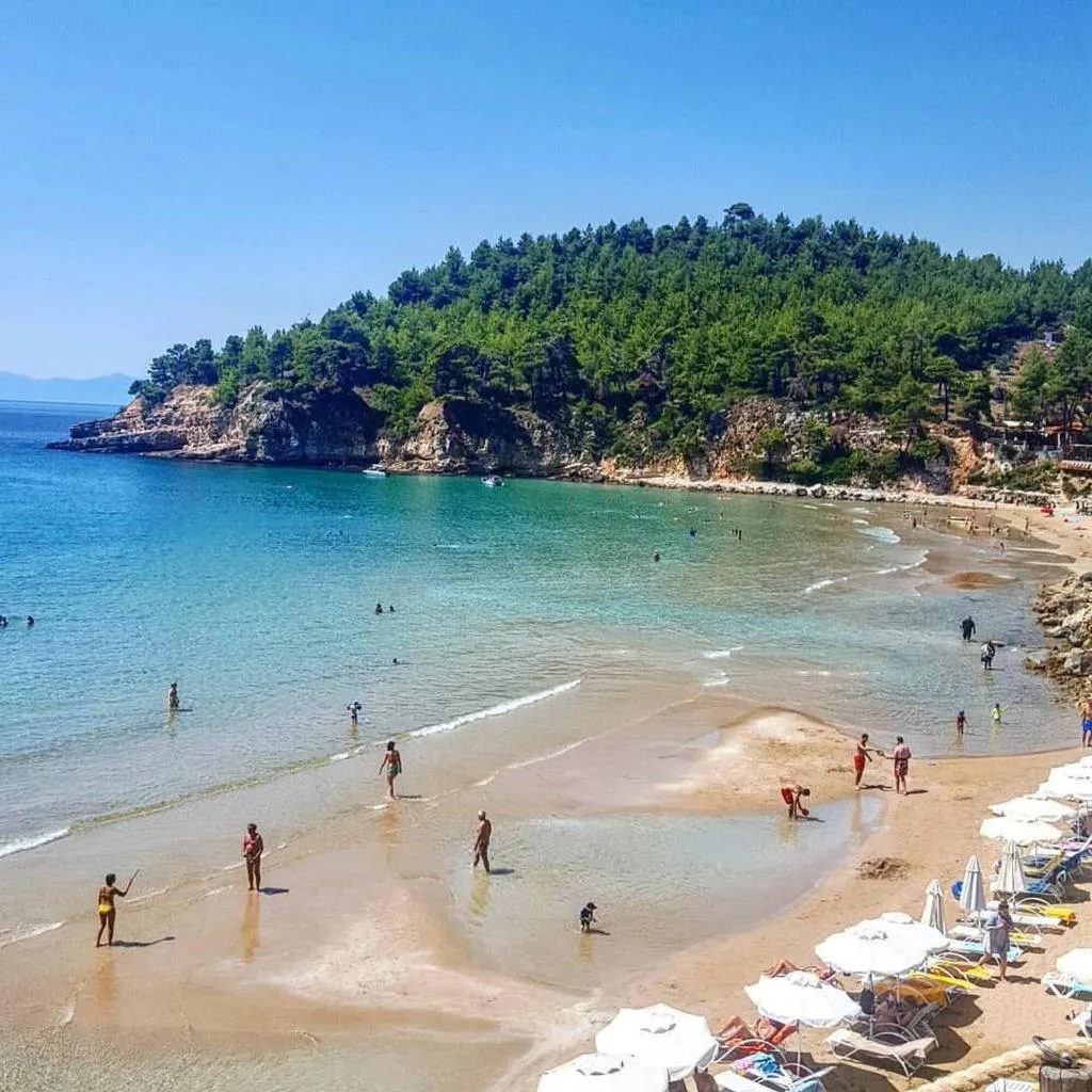 General view, Alonissos Beach Bungalows & Suites Hotel, Skiathos