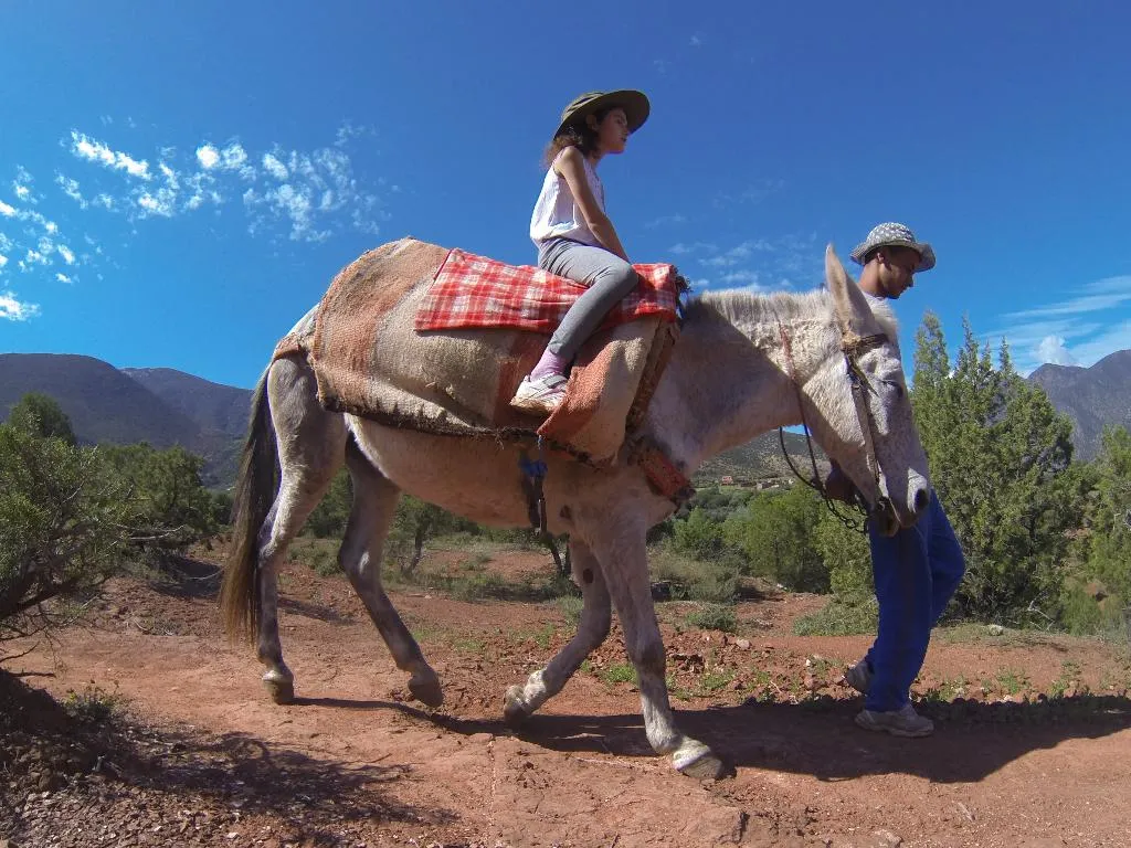 Sports and Entertainment, Kasbah Africa, Marrakech