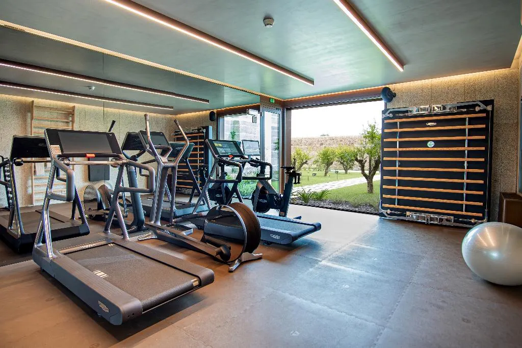 Sports and Entertainment, The Lince Santa Clara, Porto