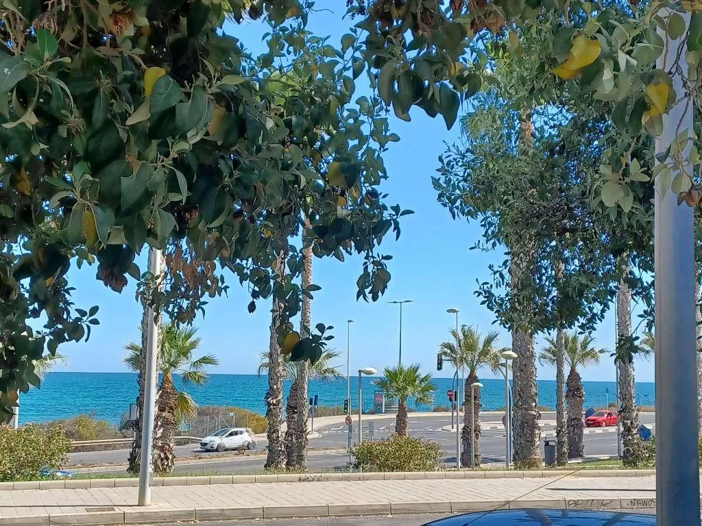 Sports and Entertainment, Ibis Alicante, Costa Blanca