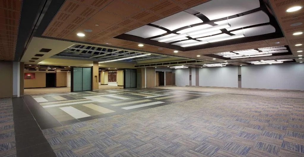 Conferences, Melia Castilla, Madrid