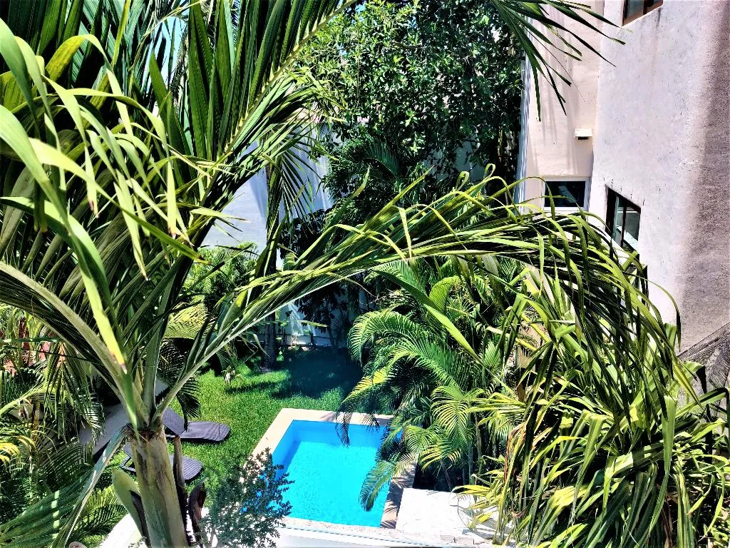 Pool, Mariachi By Kavia, Playa Del Carmen