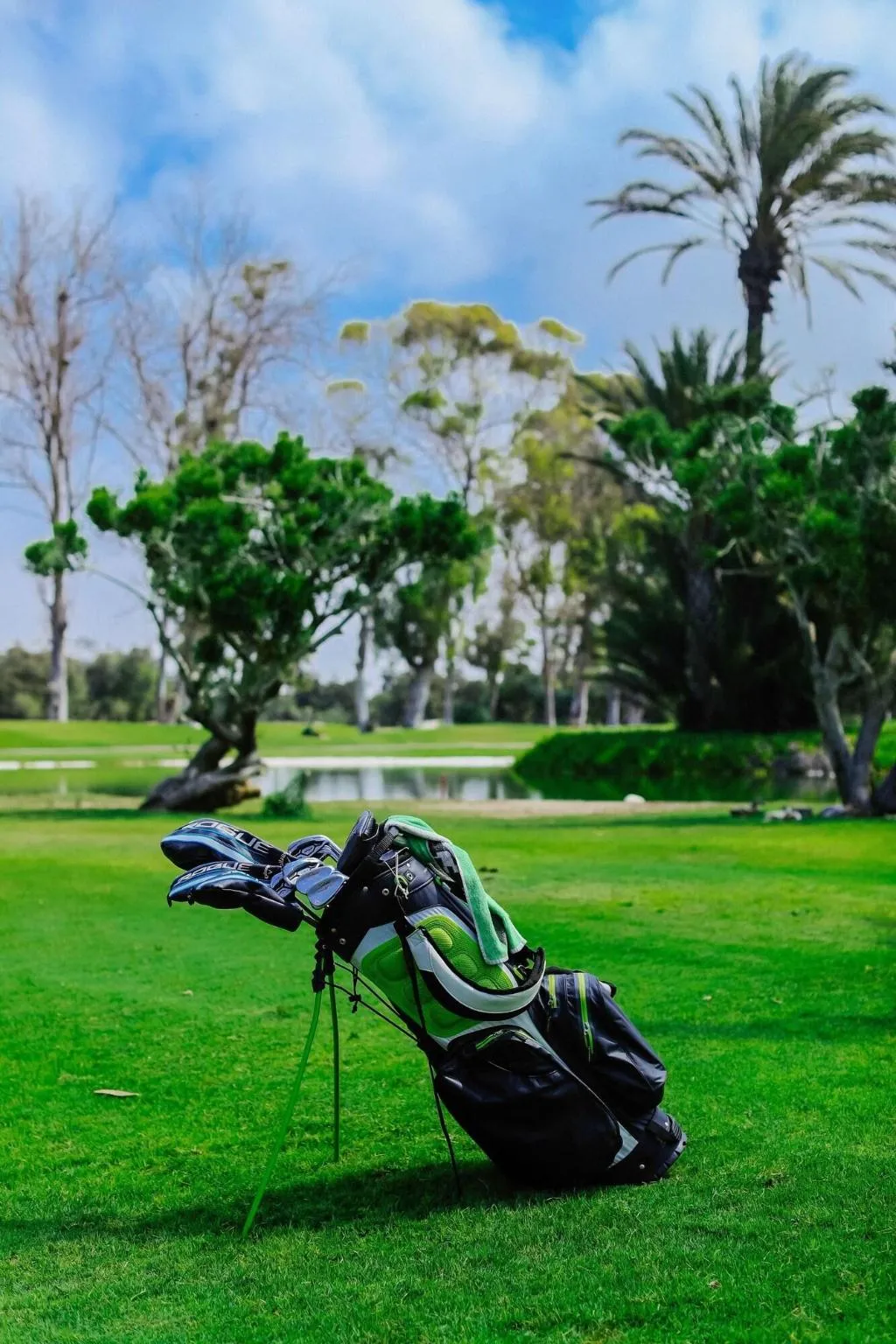 Terrace, Tikida Golf Palace, Agadir