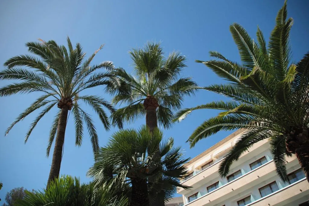 General view, Son Caliu Hotel Spa Oasis, Majorca