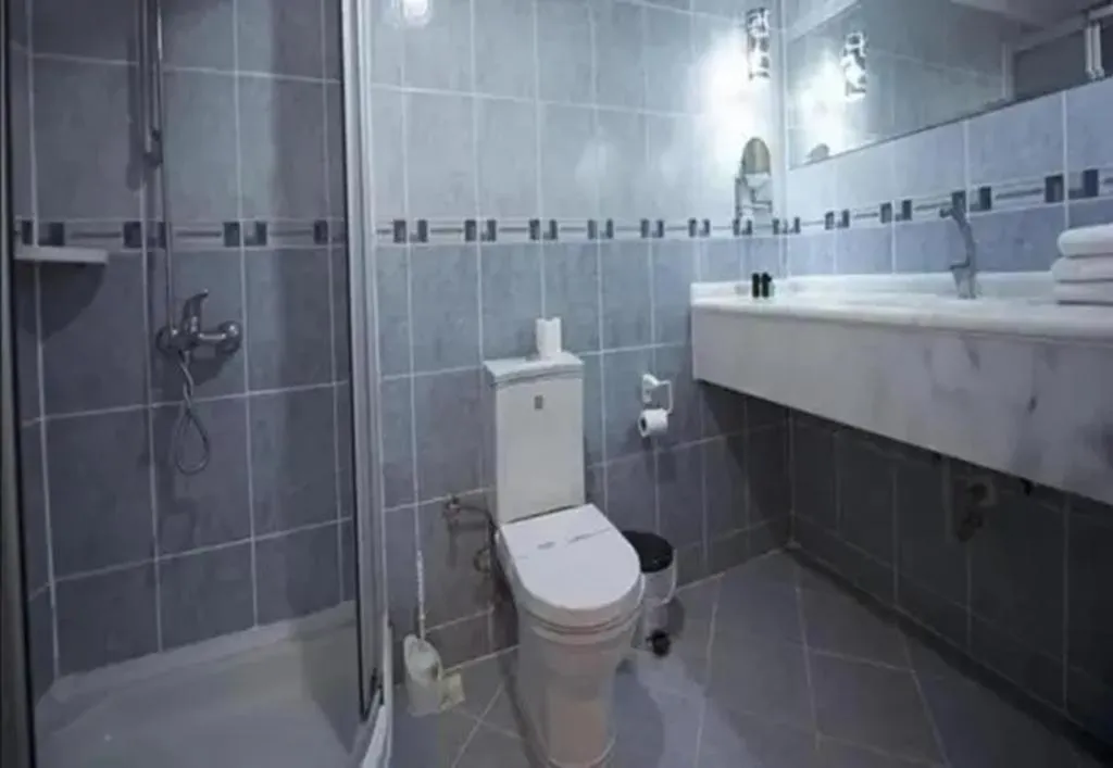 DOUBLE SINGLE USE STANDARD Room, Sentinus Beach Hotel, Izmir