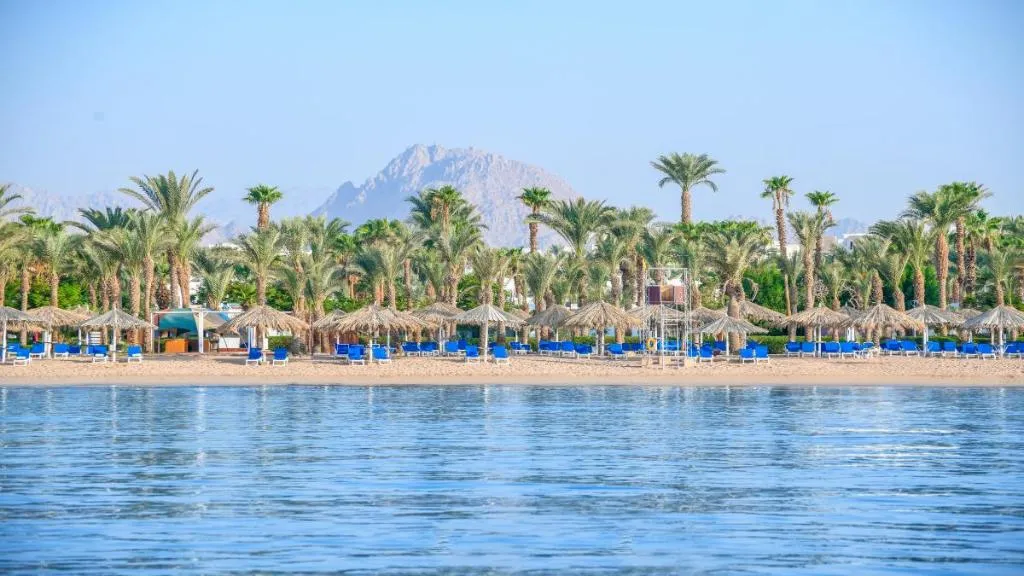 Beach, JAZ Fayrouz, Red Sea Riviera