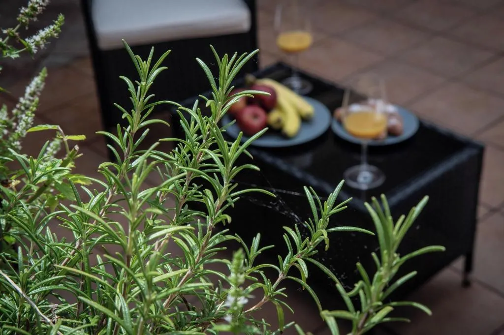 Terrace, Boutique Apartments White Swan, Prague