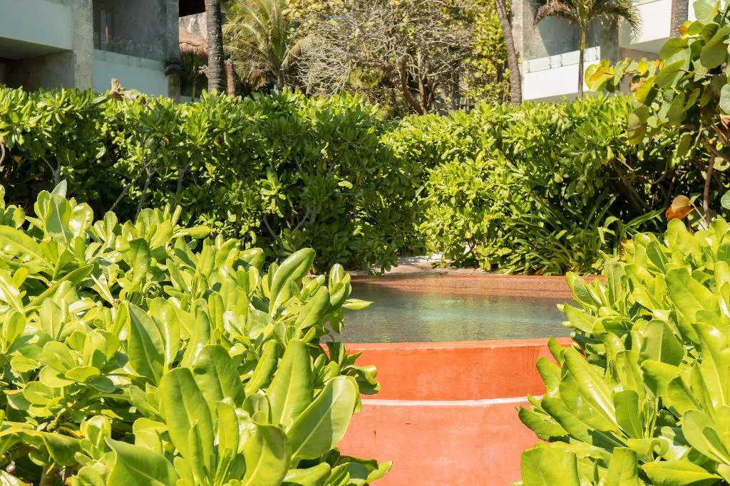 General view, Tago Tulum by G Hotels, Cancun Area