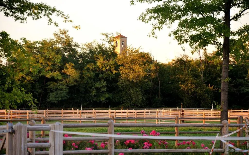 General view, Agriturismo Il Boschetto, Milan
