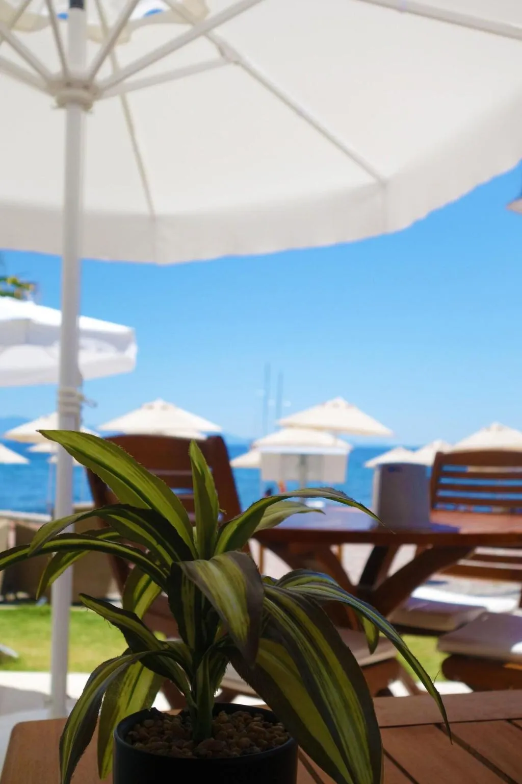 Restaurant, Zest Exclusive Hotel And Spa, Bodrum