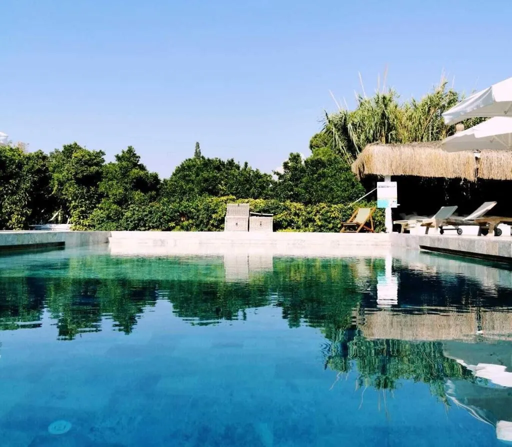 Restaurant, Savra Bodrum, Bodrum
