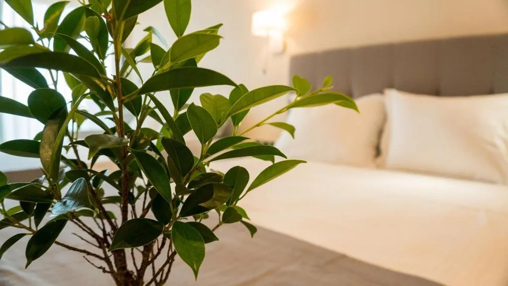 Room, Costa Domus Blue Luxury Apartments, Thessaloniki