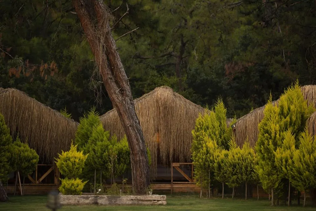 General view, Green Pine Beach & Bungalows Luxury Concept, Dalaman
