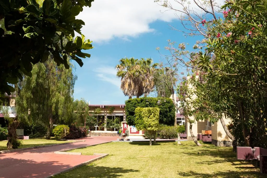General view, Palia Don Pedro, Tenerife