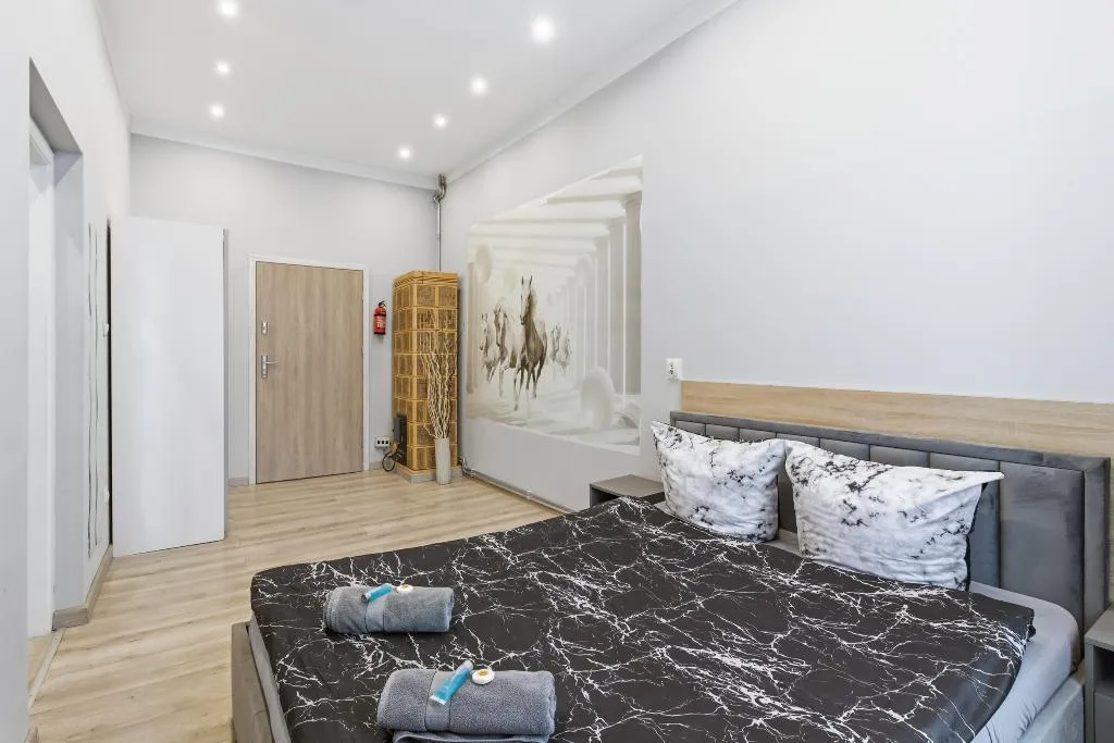 APARTMENT CAPACITY 2 Room, Queen Apartments, Krakow