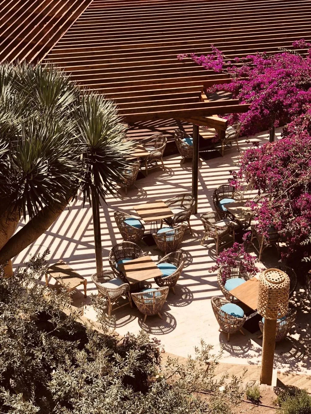 Terrace, Hotel Sentido Porto Soller, Majorca