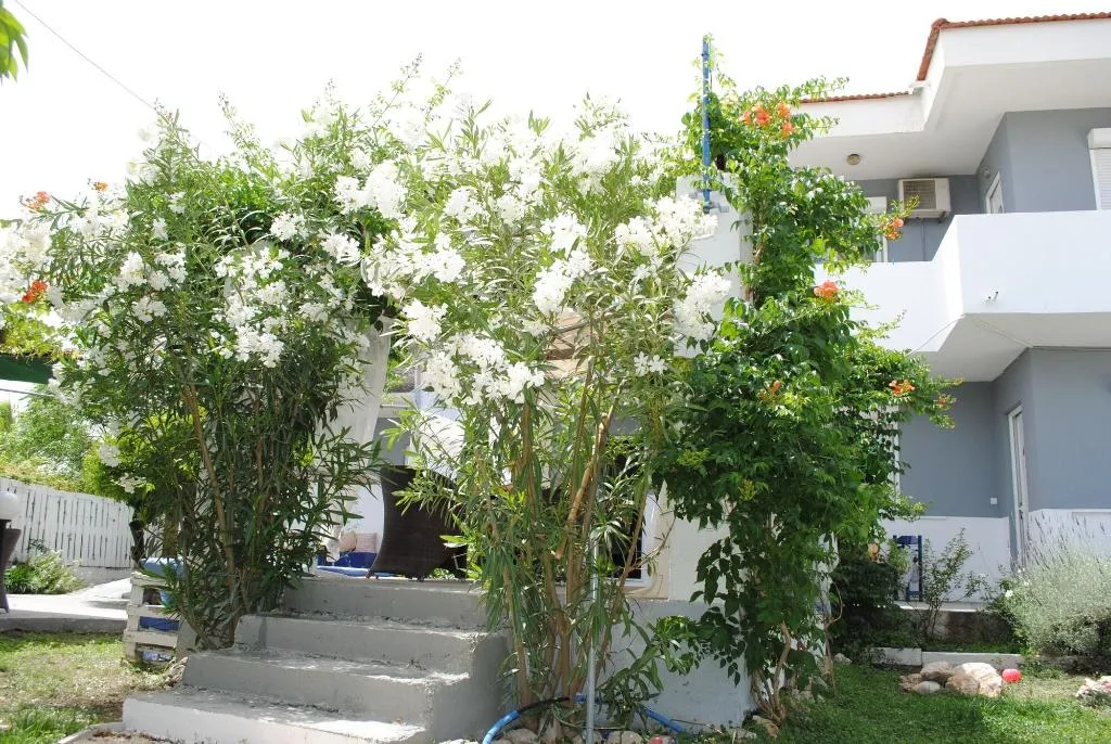 General view, Karmik Concept Pension, Rhodes