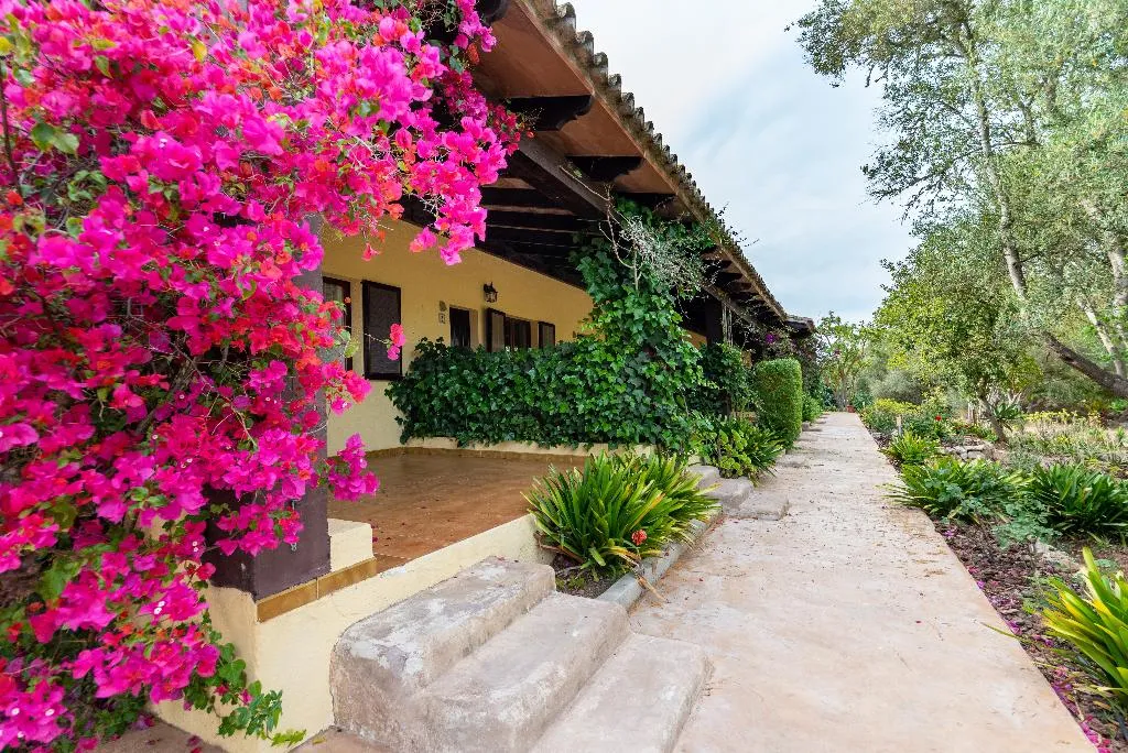 Double or Twin WITH TERRACE Room, Hotel Rural Predio Son Serra, Majorca