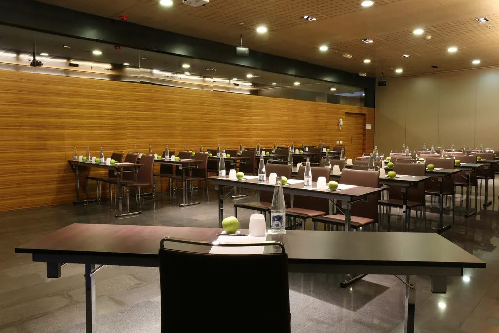Conferences, Occidental Atenea Mar, Barcelona
