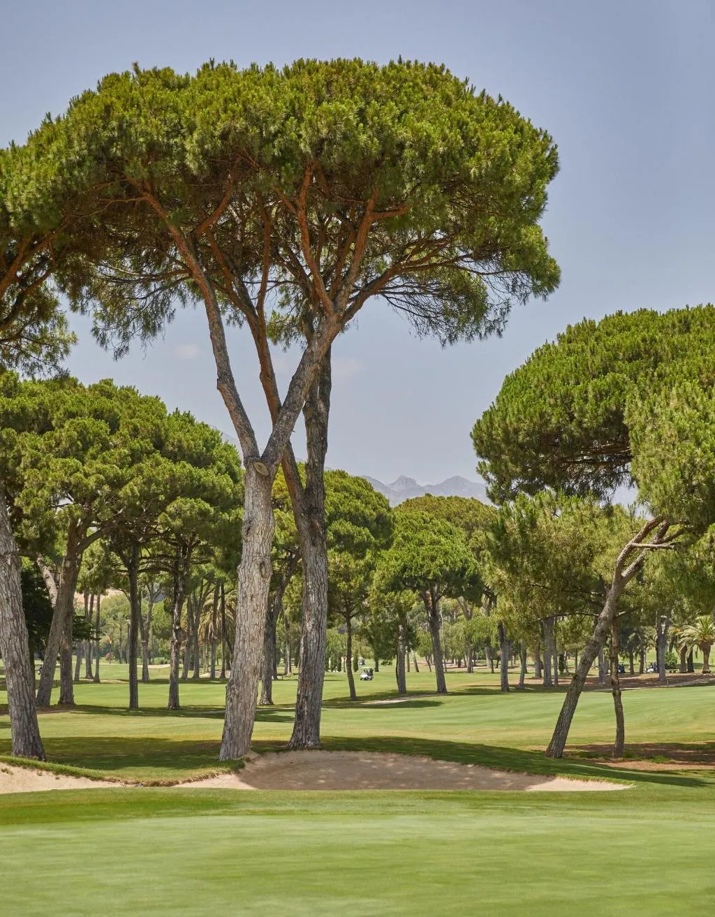 Sports and Entertainment, Rio Real Golf & Hotel, Costa Del Sol