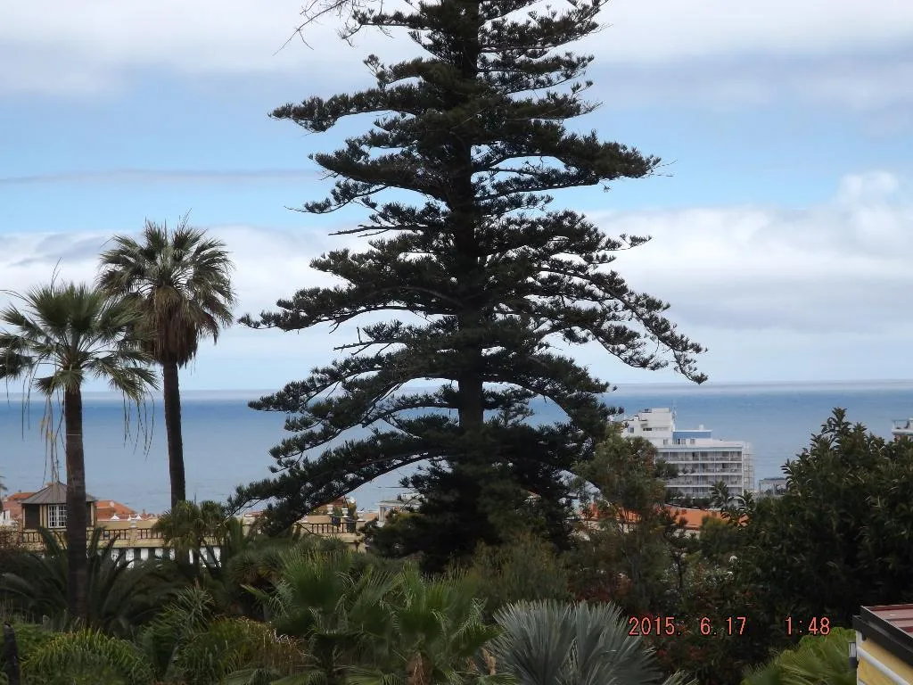 General view, The Blue Corner, Tenerife