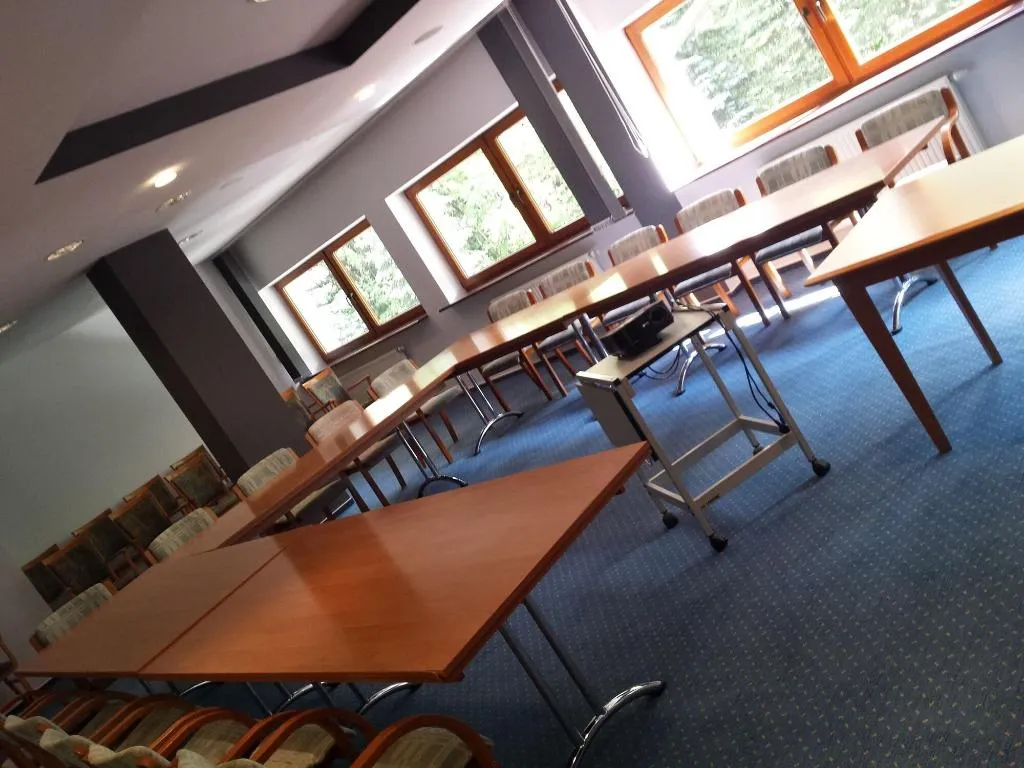 Conferences, Geovita Zakopane, Krakow