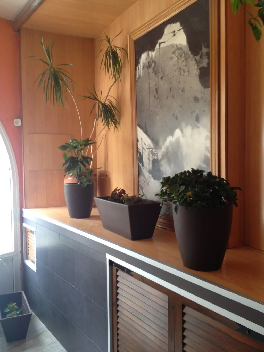 Lobby, Hostal Porta De Nuria, Barcelona