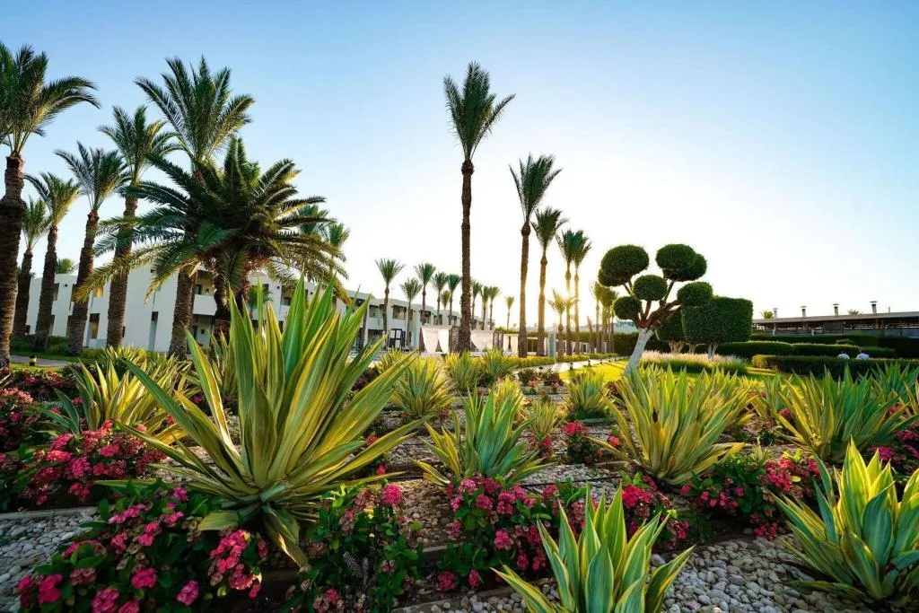 Terrace, Sentido Reef Oasis Senses Resort, Red Sea Riviera