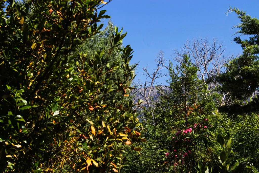 Terrace, Nireas Resort Corfu, Corfu