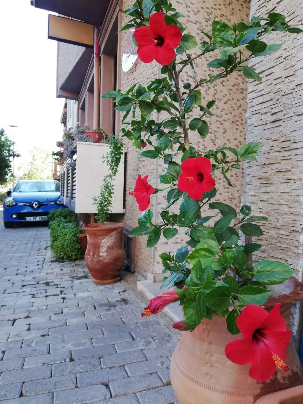 General view, Selena Hotel, Izmir