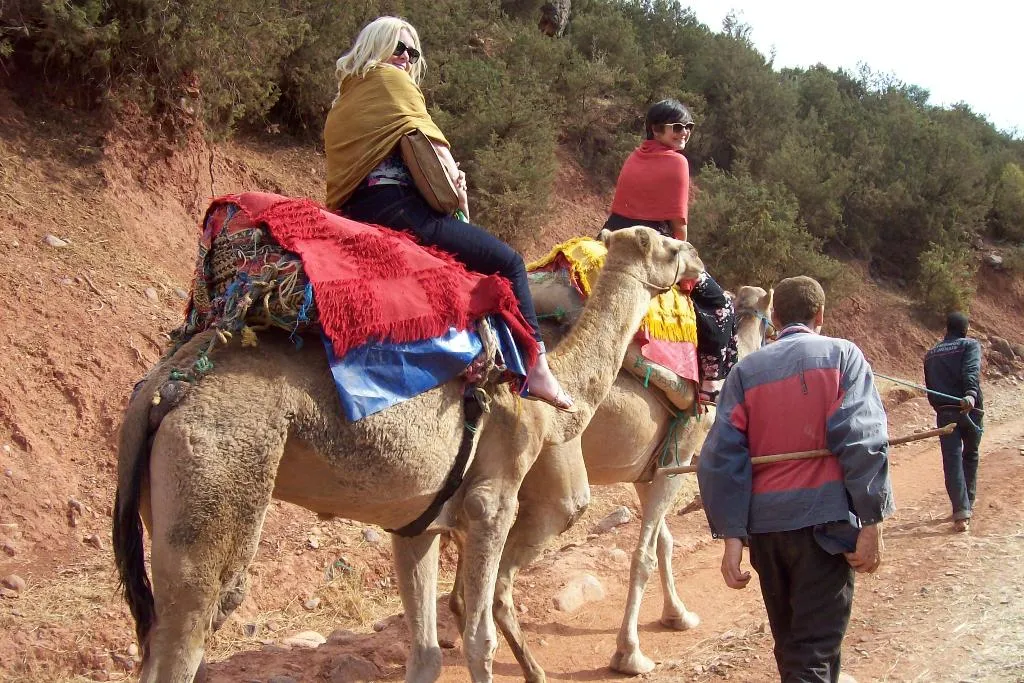 Sports and Entertainment, Kasbah Africa, Marrakech