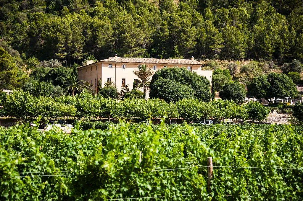 General view, Son Brull, Majorca