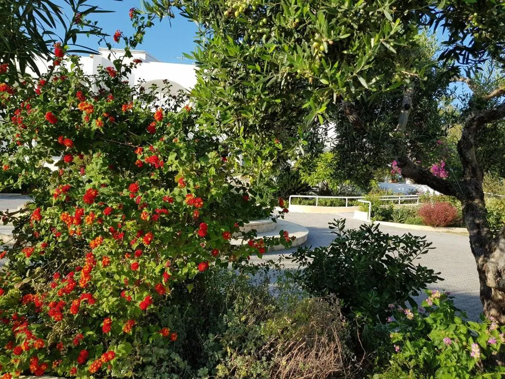 General view, Mantenia Hotel, Crete