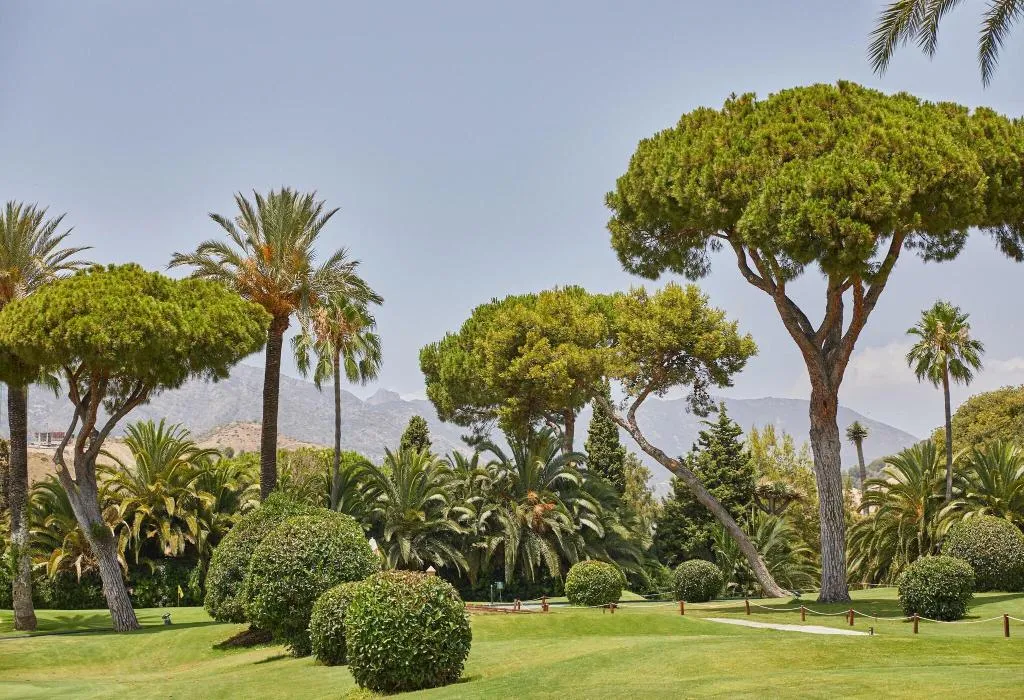 Sports and Entertainment, Rio Real Golf & Hotel, Costa Del Sol