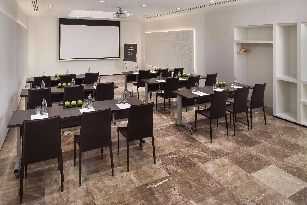 Conferences, Melia Lebreros, Seville