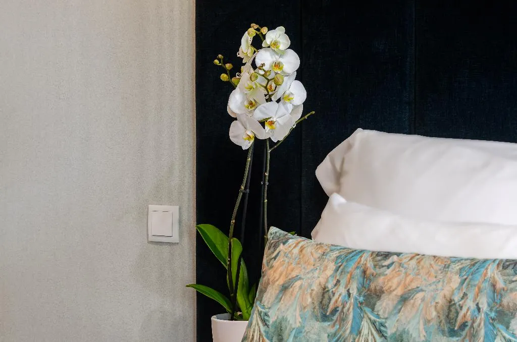 QUADRUPLE STANDARD Room, DAH Dom Afonso Henriques, Lisbon
