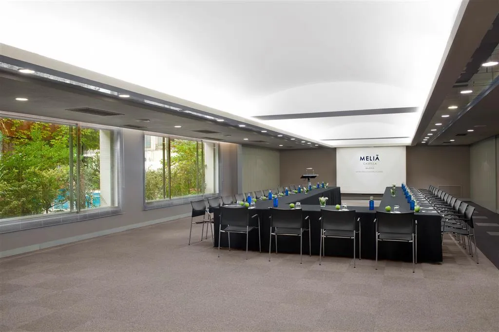 Conferences, Melia Castilla, Madrid