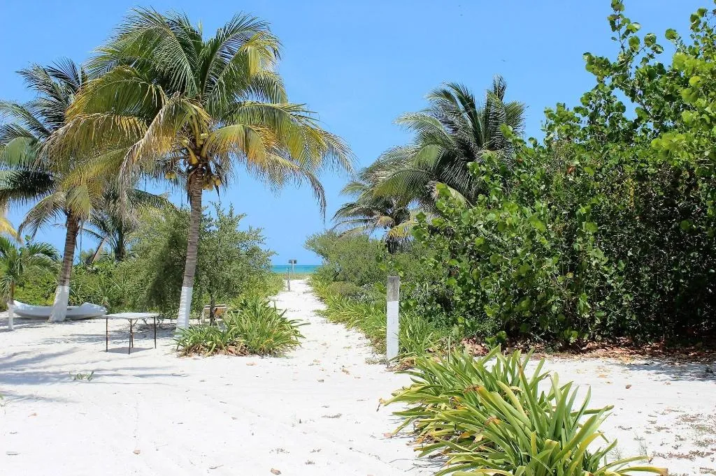 Beach, Cabañas El Cuyo, Cancun Area