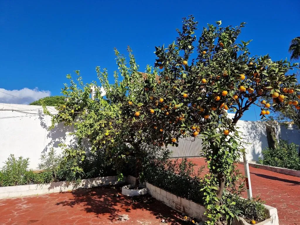 General view, Rancho Grande (ex.Villa Costa Marbella), Costa Del Sol
