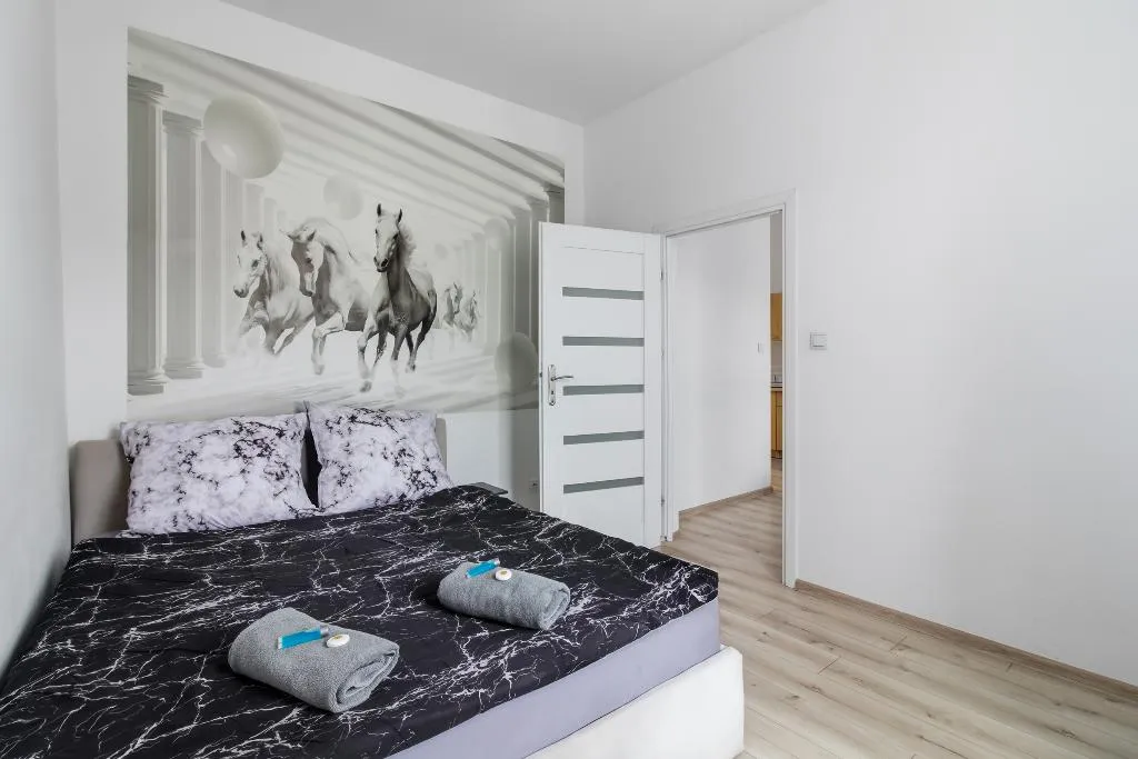 APARTMENT CAPACITY 3 Room, Queen Apartments, Krakow