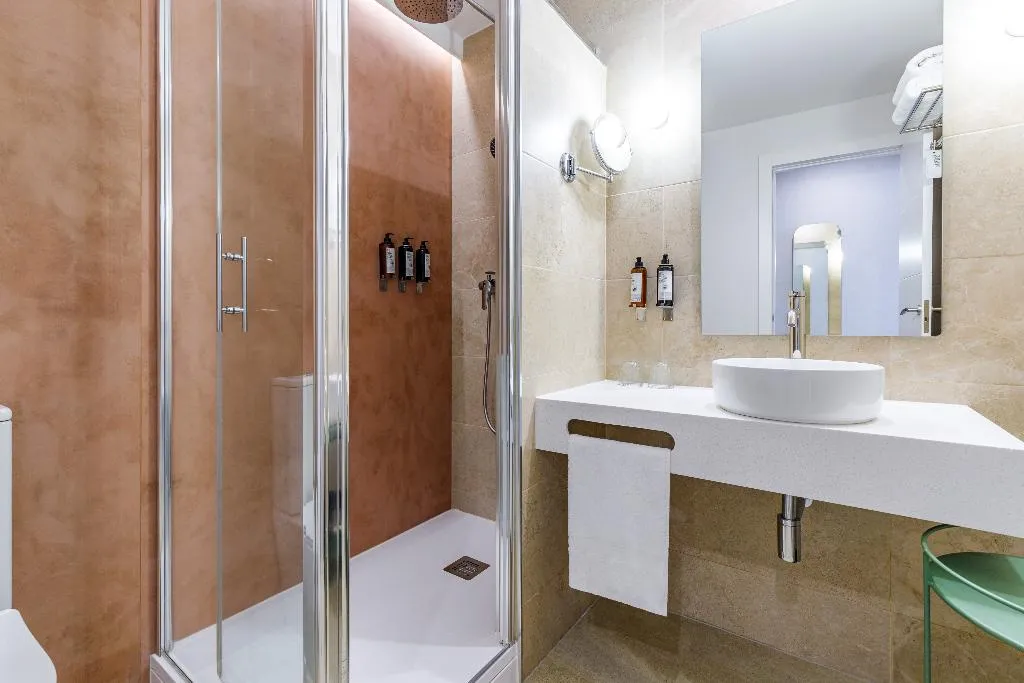 DOUBLE SINGLE USE STANDARD Room, Petit Palace Puerta del Sol, Madrid