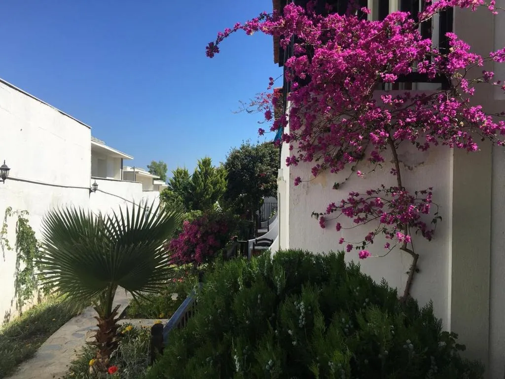 General view, Salinas Hotel Bodrum, Bodrum